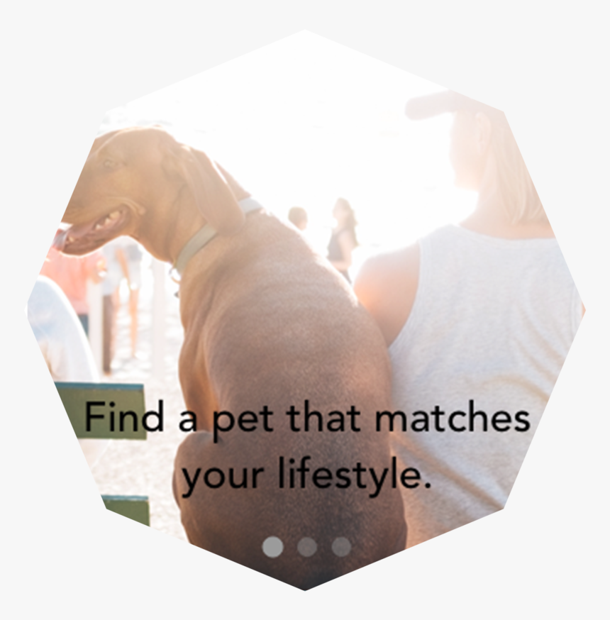 Pets&pals, HD Png Download, Free Download