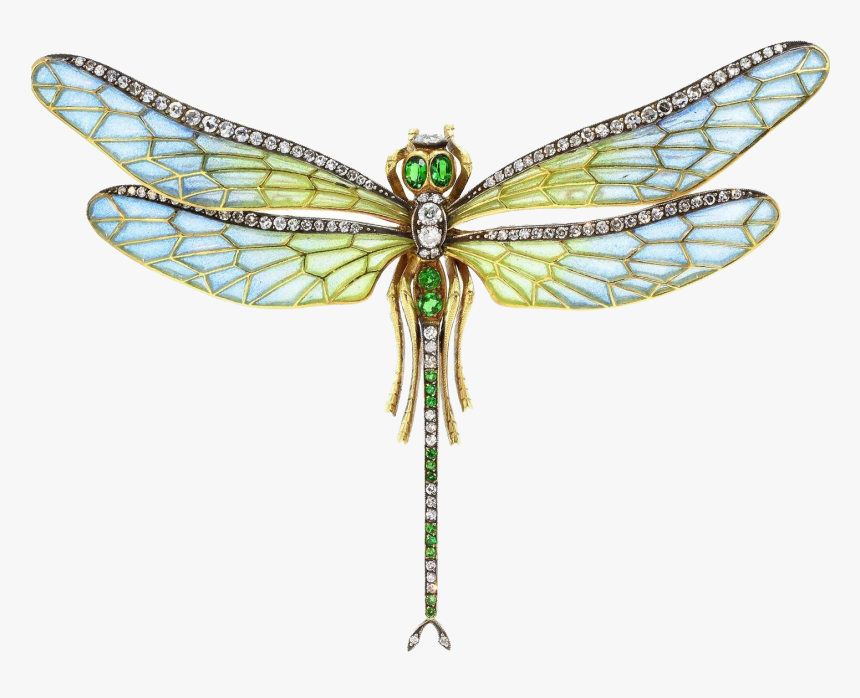 Dragonfly Png Transparent Images - Dragonfly Pin, Png Download, Free Download