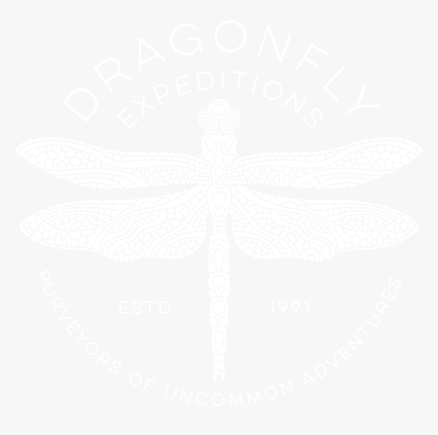 Dragonfly Expeditions - Illustration, HD Png Download, Free Download