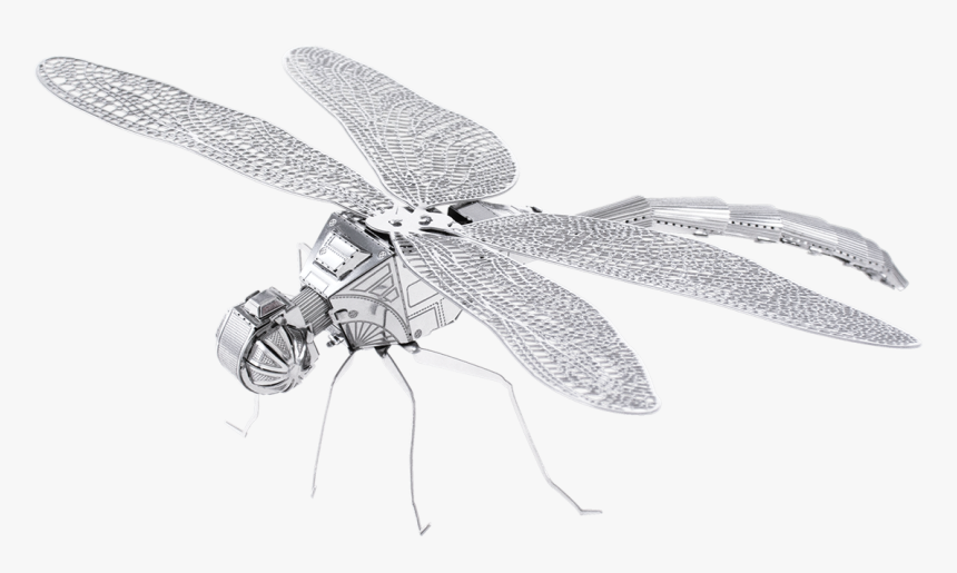 Metal Earth Bugs - Metal Earth Dragonfly, HD Png Download, Free Download