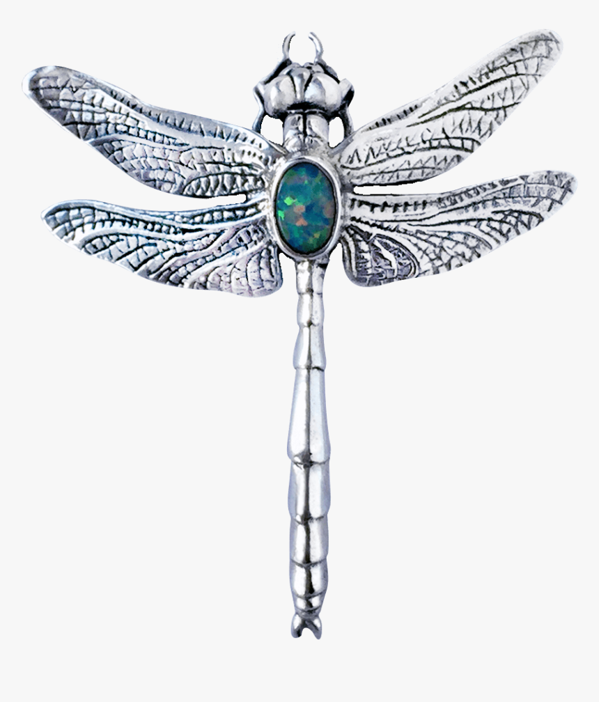 Dragonfly, HD Png Download, Free Download