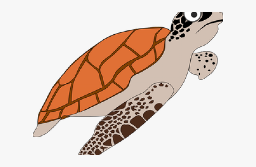 Transparent Turtle Clipart Png - Penyu Vector, Png Download, Free Download