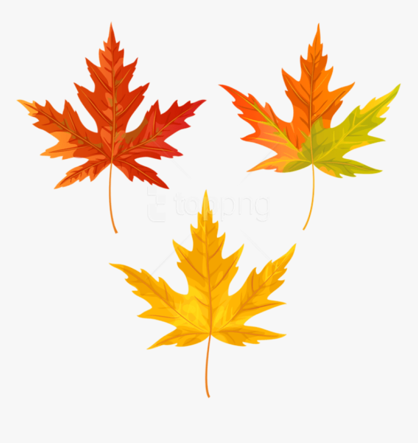 Free Png Download Orange Fall Leaves Clipart Png Photo - Transparent Background Fall Leaf Clipart, Png Download, Free Download