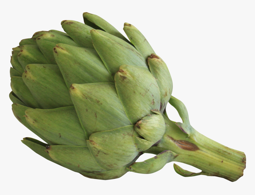 Artichoke Png, Transparent Png, Free Download