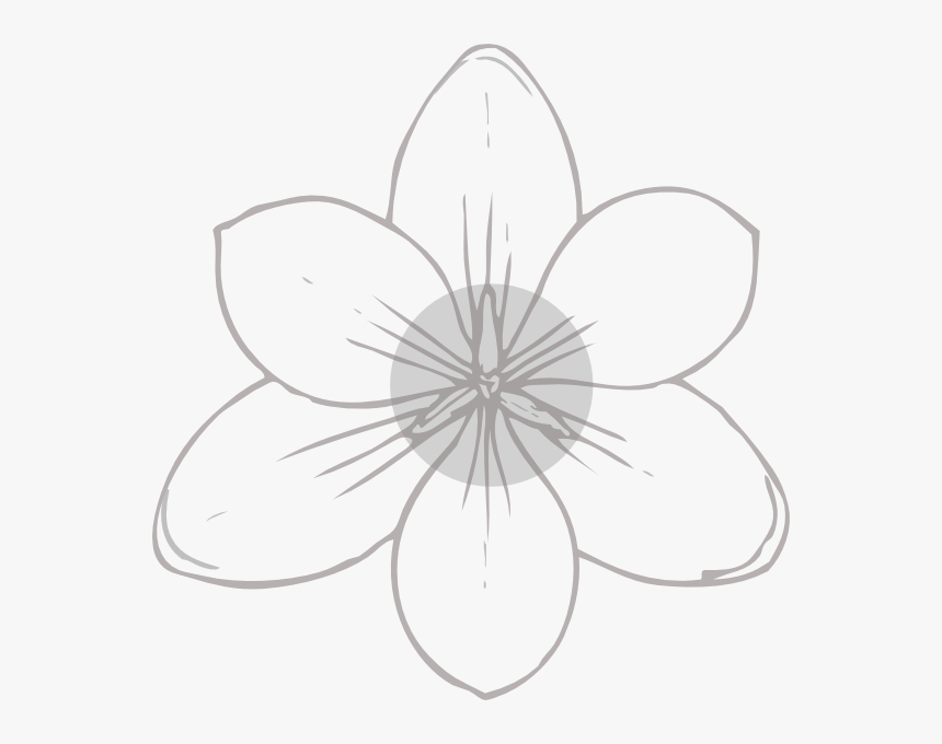 Silver, Flowers Svg Clip Arts - Flower Image Drawing Hd, HD Png Download, Free Download