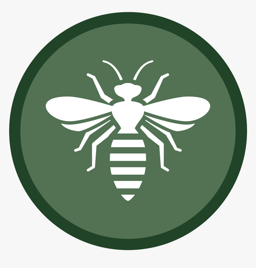 Bee Icon-02 - Wasp, HD Png Download, Free Download