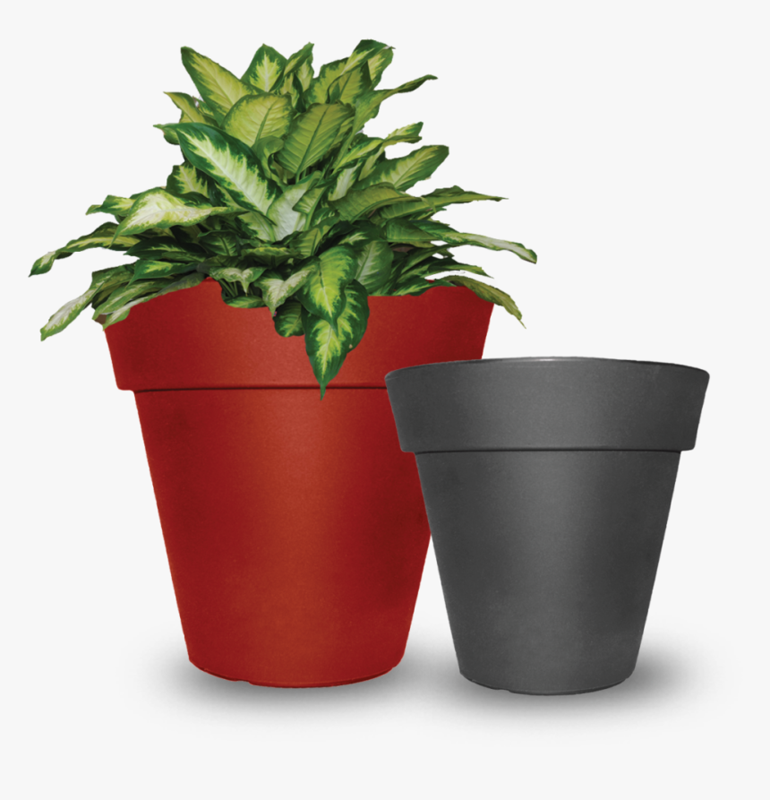 Flowerpot, HD Png Download, Free Download