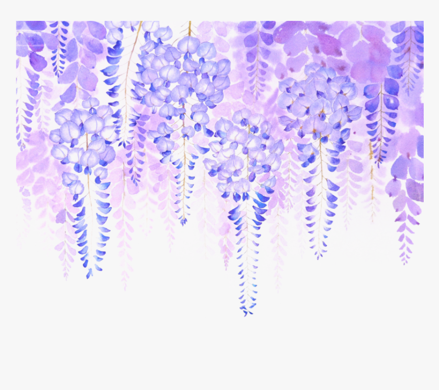 #freetoedit #lavender #hanging #flowers #border - Wisteria Flower Png, Transparent Png, Free Download
