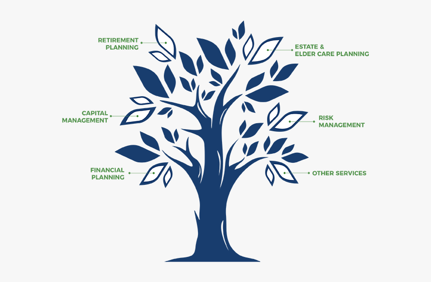 Financial Planning Tree, HD Png Download, Free Download