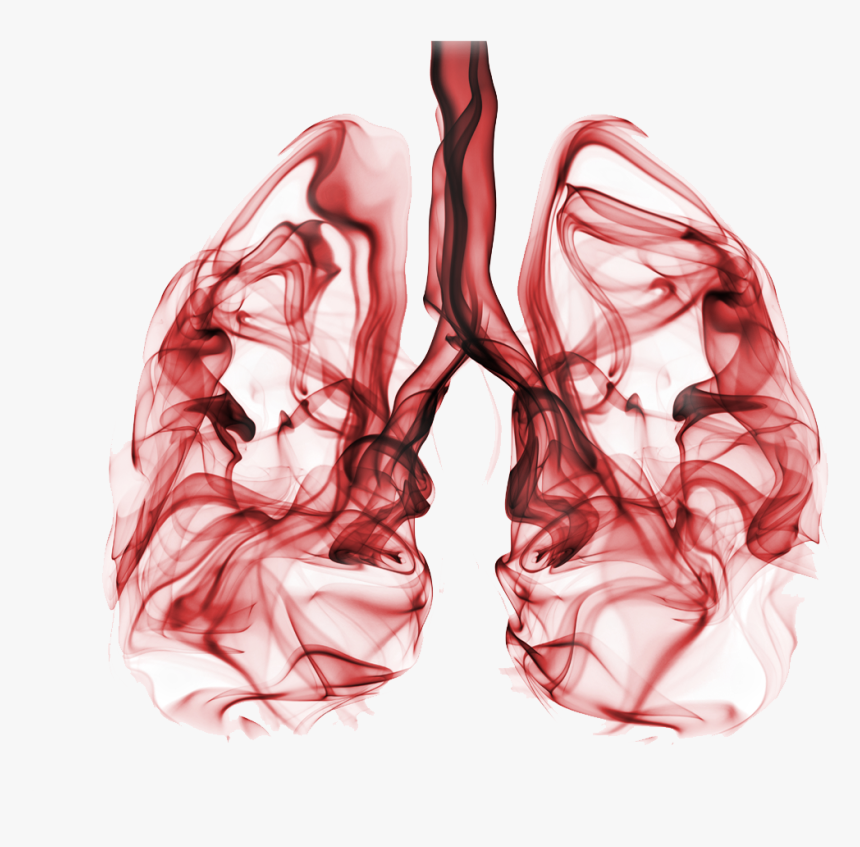 It Is Estimated That Around 80% Of All Lung Cancer - Lungs Effects Of Smoking, HD Png Download, Free Download