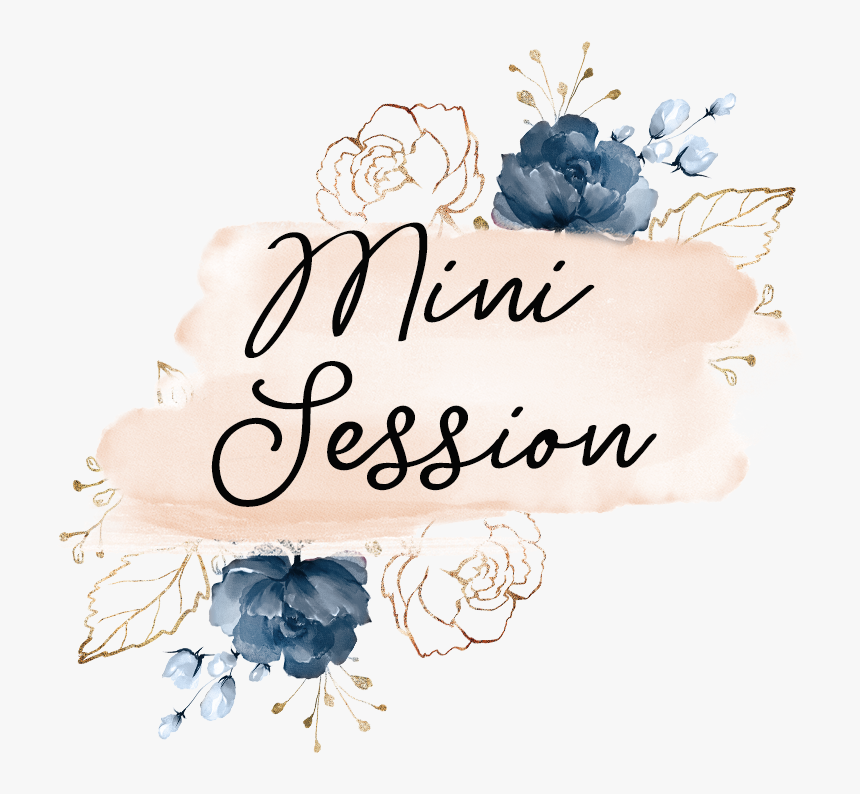 Mini Session - Garden Roses, HD Png Download, Free Download