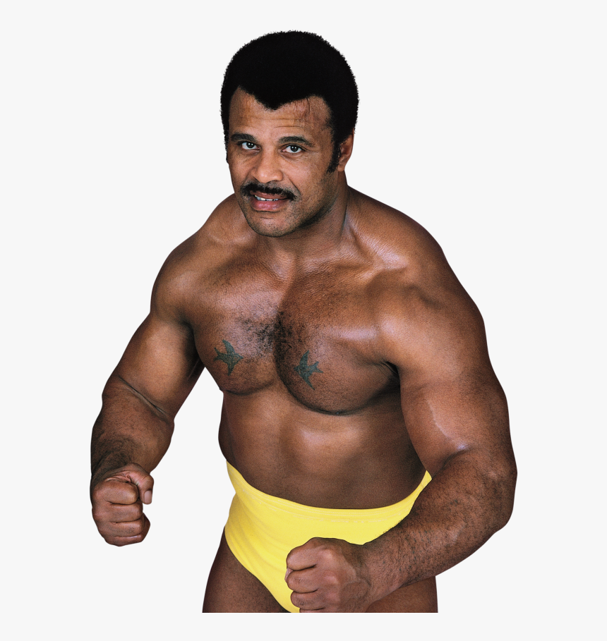 1"
 Class="img Responsive Owl First Image Owl Lazy"
 - Rocky Johnson Cause Of Death, HD Png Download, Free Download