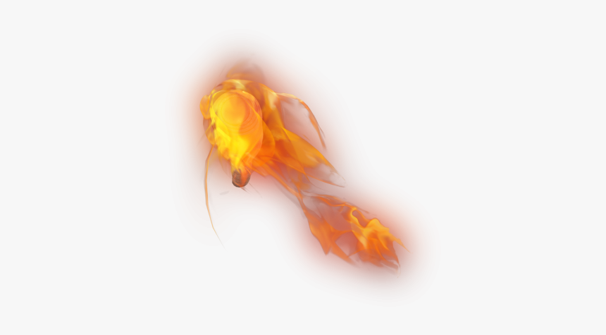 Hand Torch Png Image - Insect, Transparent Png, Free Download