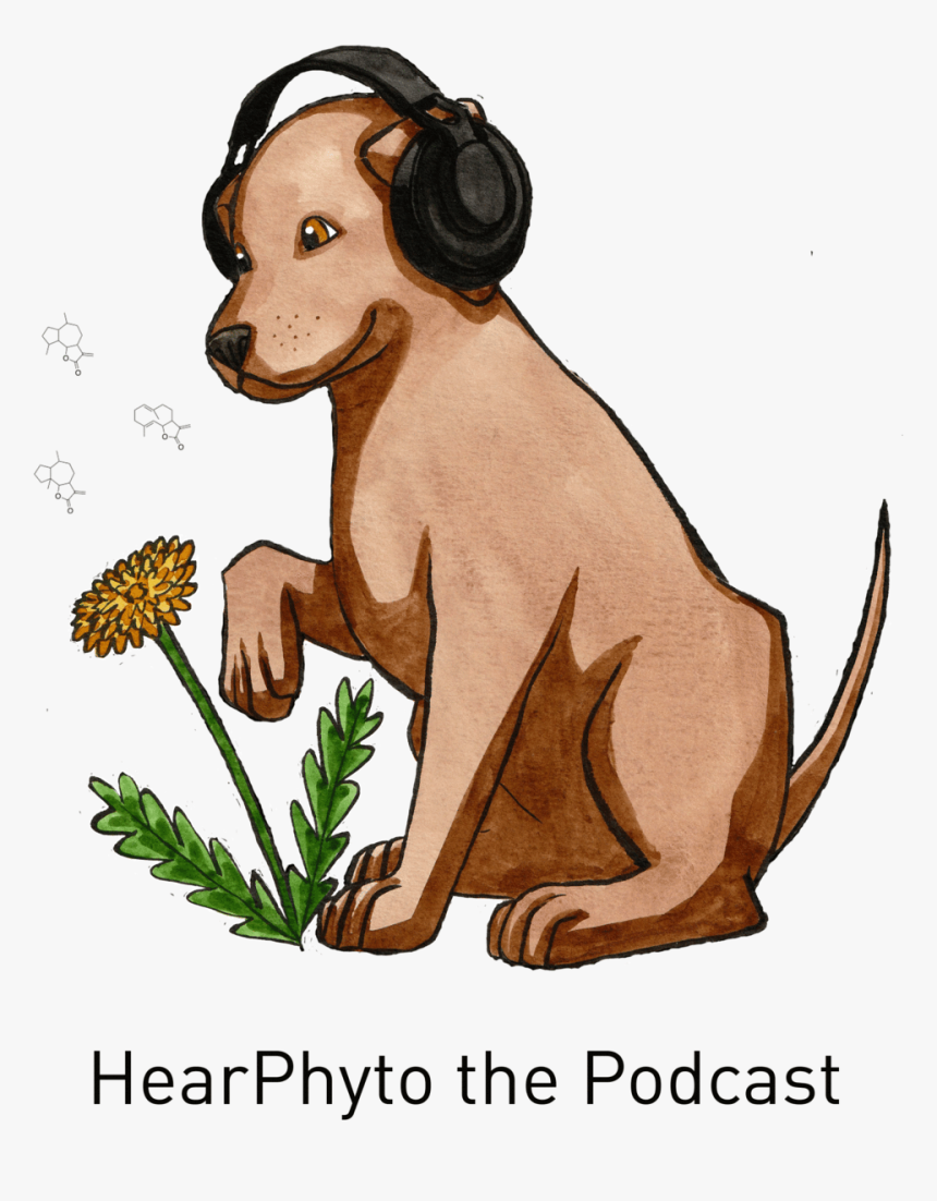Hearphyto Podcast Season 1 Episode - Illustration, HD Png Download, Free Download