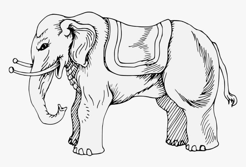 Elephant, HD Png Download, Free Download