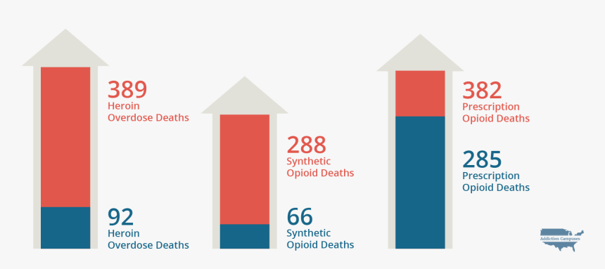 Com Wisconsin Overdose Death Statistics - Addiction Campuses, HD Png Download, Free Download