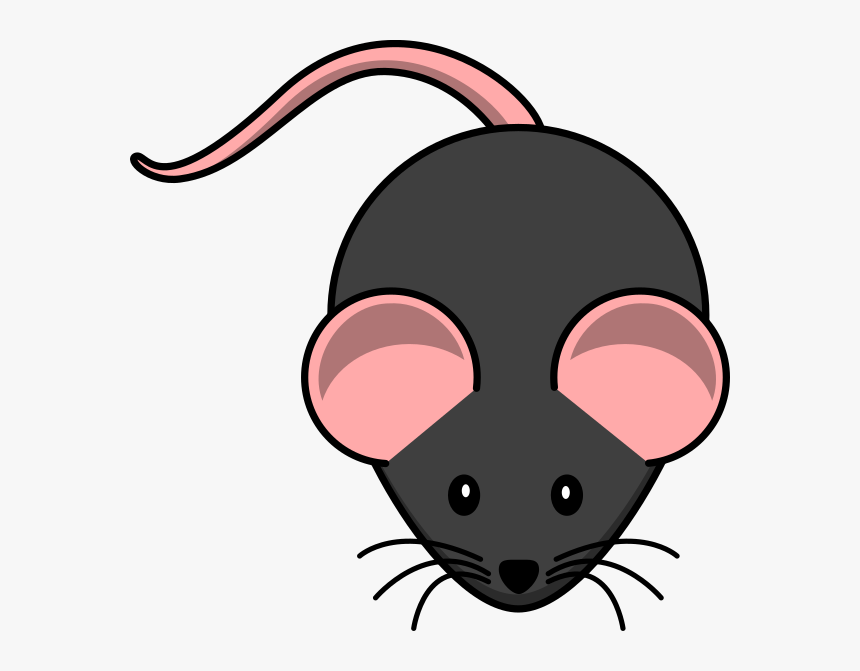 Mouse Clipart Transparent Background , Png Download - Transparent Background Rat Clipart, Png Download, Free Download