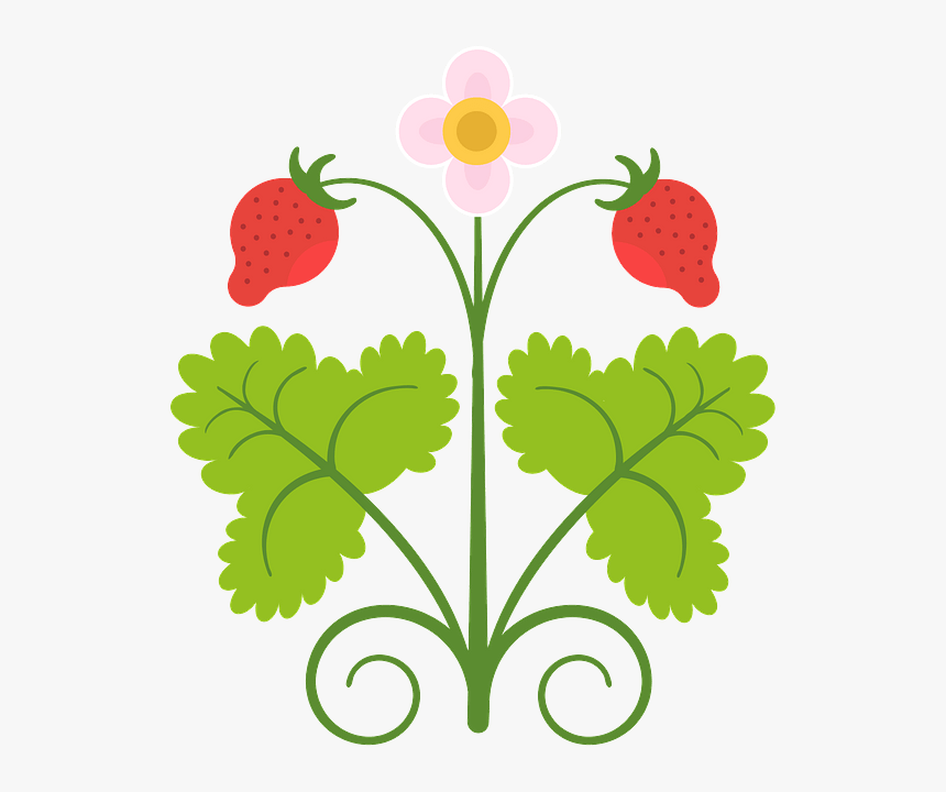 Clip Art, HD Png Download, Free Download