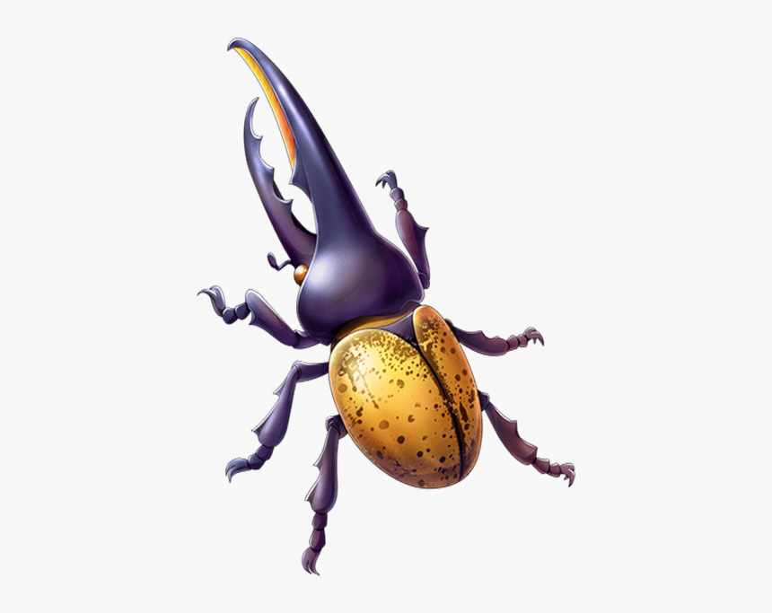 Beetle Transparent Unique - Elephant Beetle, HD Png Download, Free Download