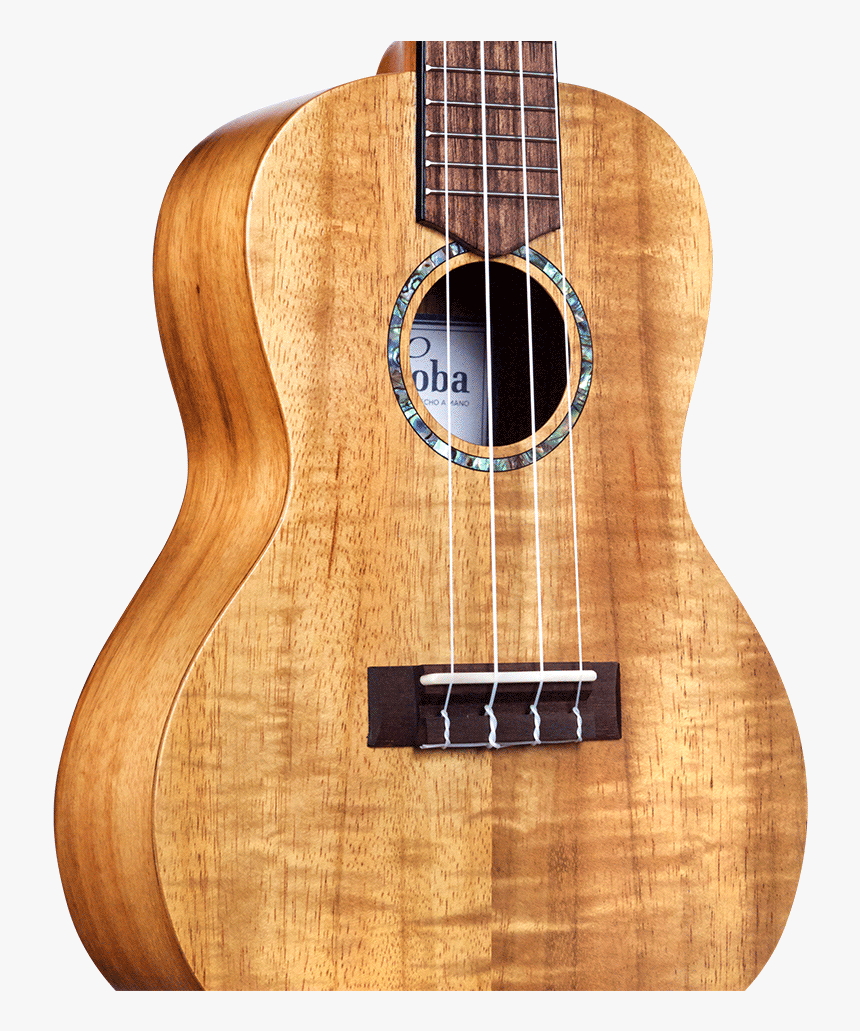 Acoustic Guitar, HD Png Download, Free Download