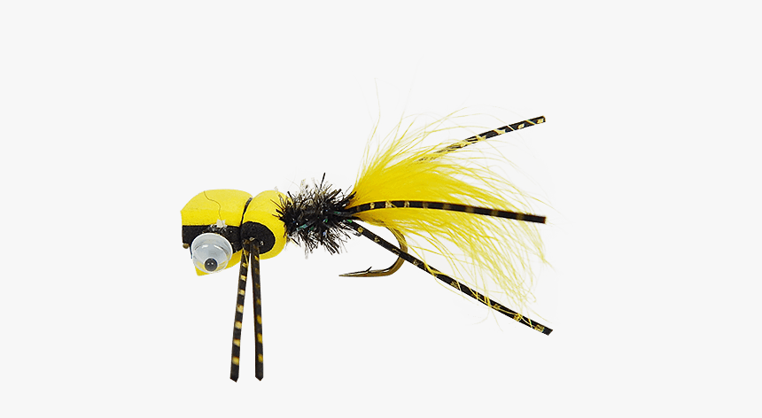 Mini Mad Scientist Yellow & Black - Membrane-winged Insect, HD Png Download, Free Download
