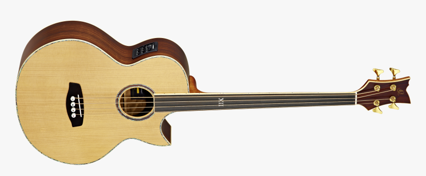 Ortega D2 4 Acoustic Bass, HD Png Download, Free Download