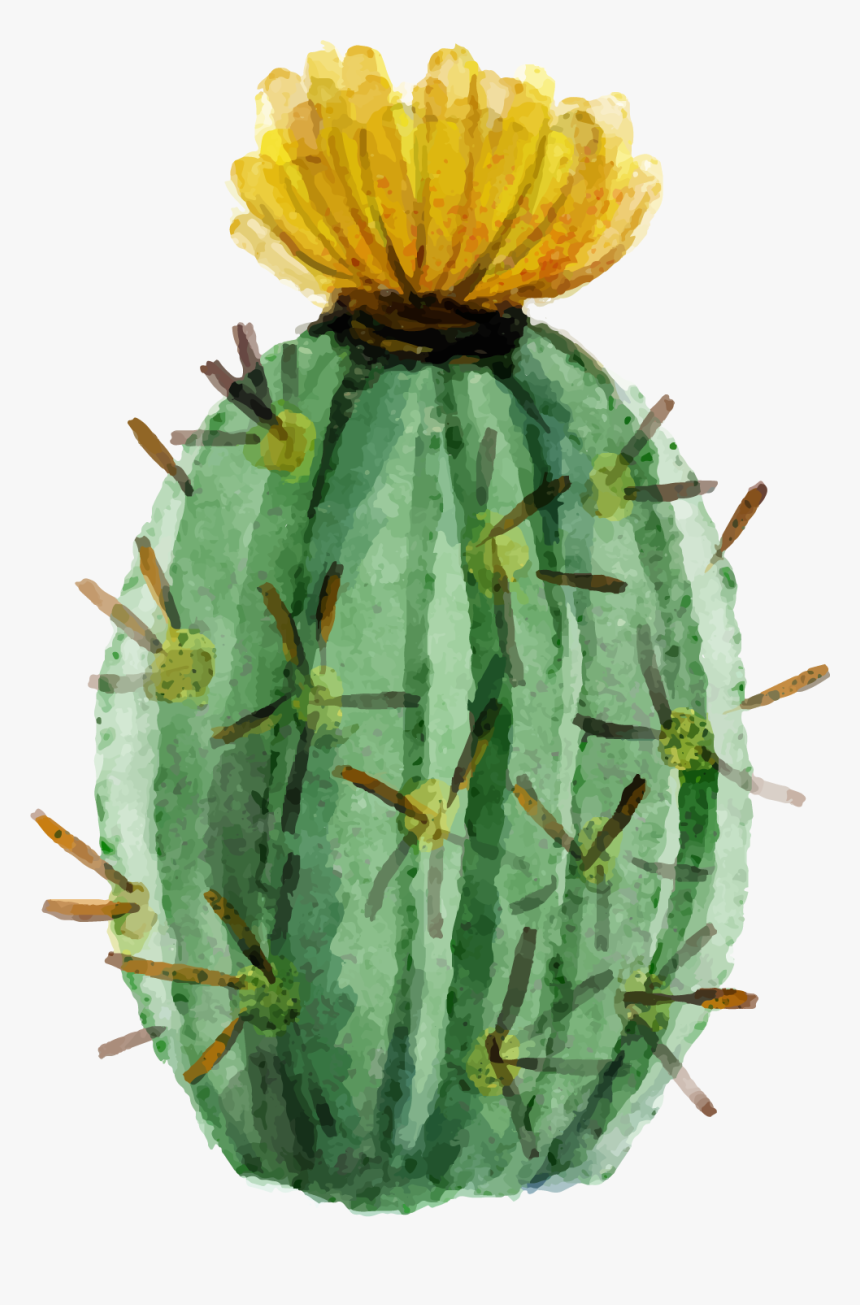 Transparent Watercolor Cactus Png - Watercolor Cactus Flower Vector, Png Download, Free Download