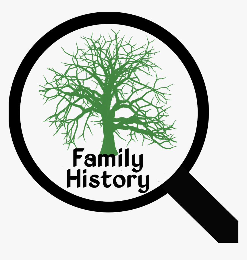 Think There Is No Difference In Genealogy Vs - Transparent Background Old Trees Png, Png Download, Free Download