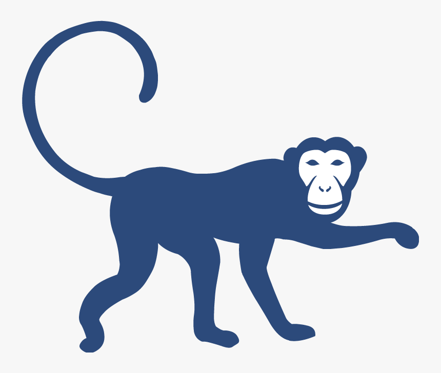 Monkey Icon-no Circle - Monkey, HD Png Download, Free Download