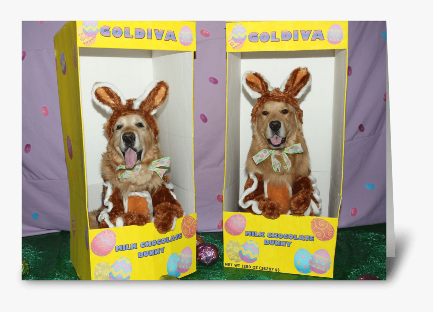 Golden Retriever Chocolate Bunny Easter Greeting Card - German Shepherd Dog, HD Png Download, Free Download