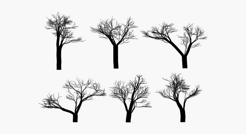 Tree Silhouettes - Silhouette, HD Png Download, Free Download