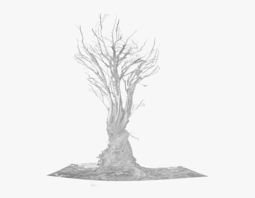 Dead Trees Drawing Background, HD Png Download, Free Download