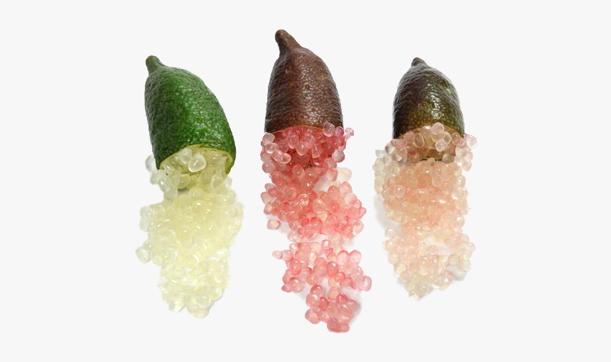 Thumb Image - Finger Lime Nz, HD Png Download, Free Download