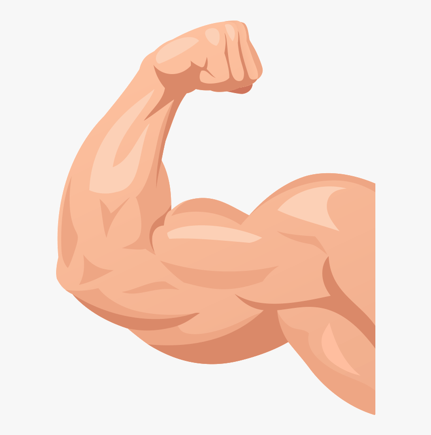 Muscle Arm Flexing - Illustration, HD Png Download, Free Download