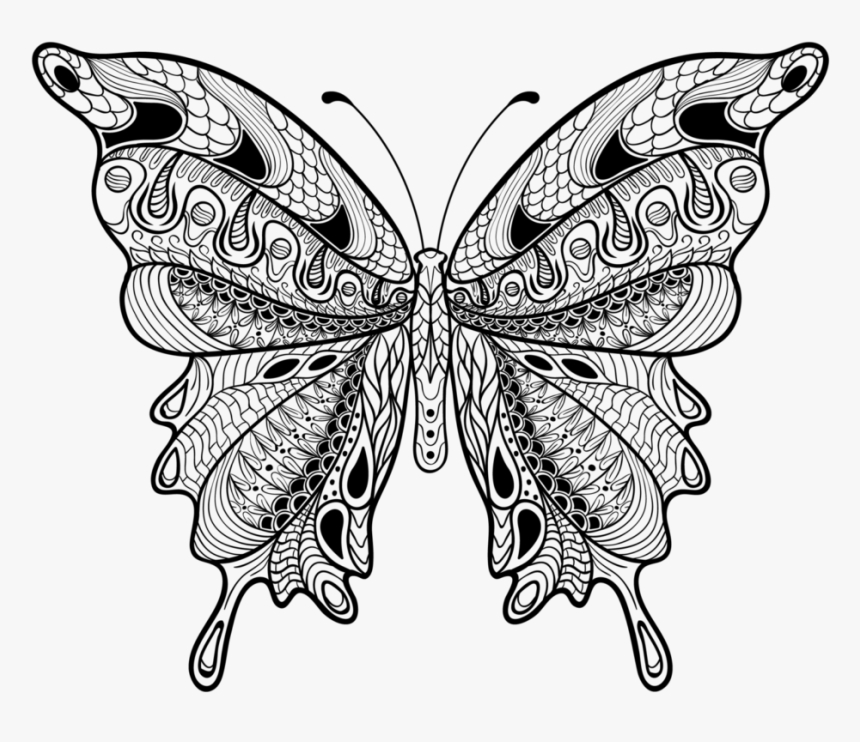 Intricate Butterfly Wing Design, HD Png Download, Free Download