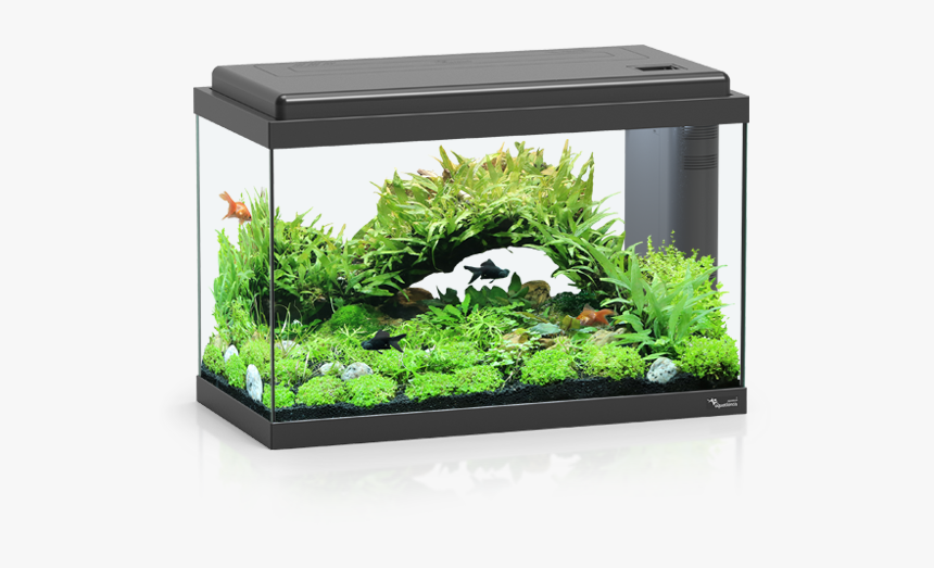 Aquarium 50 Led Bio - Aquatlantis Aquarium, HD Png Download, Free Download