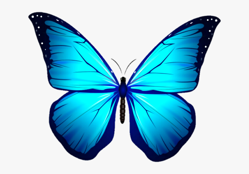 #butterfly #borboleta #asas #🦋 - Sticker, HD Png Download, Free Download