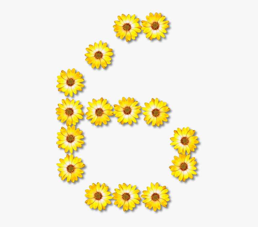 Floral Alphabet, - Huruf E Dari Bunga, HD Png Download, Free Download