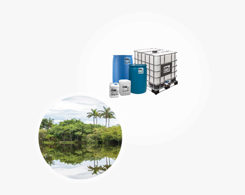 Cutrine Fl909 Product Containers With Florida Lake - Silo, HD Png Download, Free Download