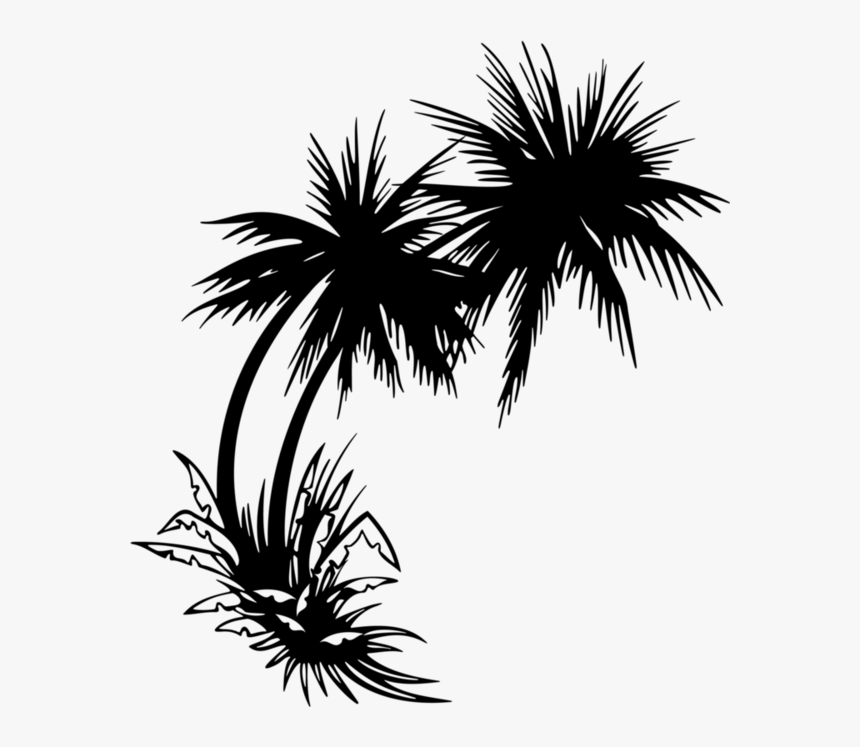 Sunset Palm Tree Png - Palm Tree Overlay Transparent, Png Download, Free Download
