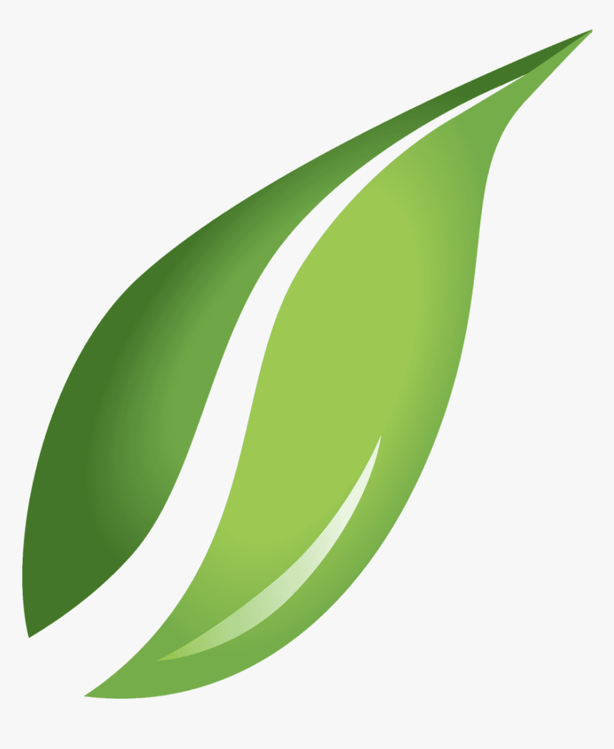 Transparent Green Leaf Png - Leaf Vector Transparent Background, Png Download, Free Download
