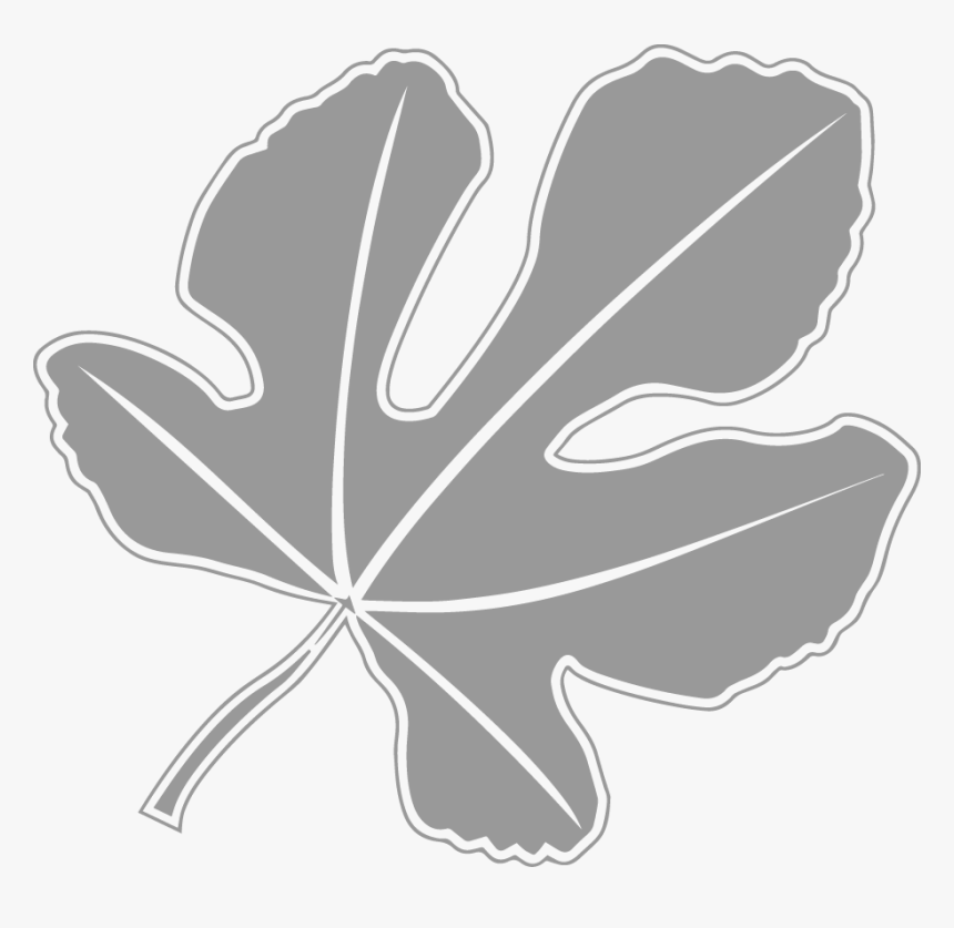 Fig Leaf, HD Png Download, Free Download