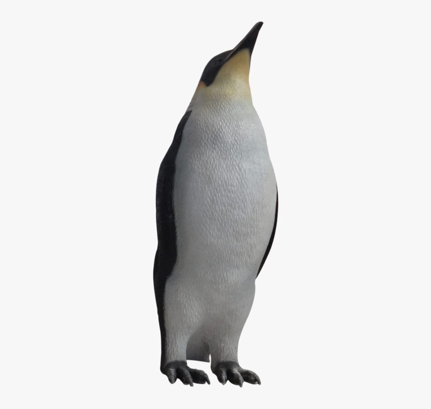 Female Penguin, HD Png Download, Free Download