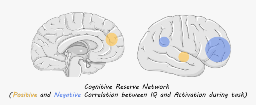 Cogreserve1800 - Illustration, HD Png Download, Free Download