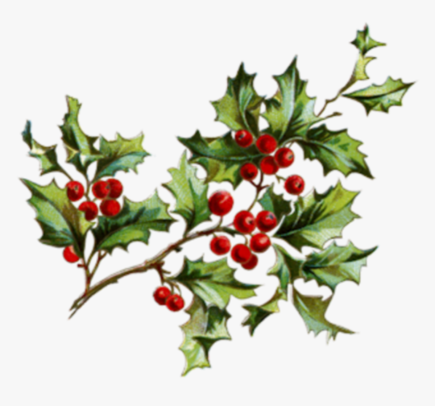 #christmas #merrychristmas #navidad #muerdago #mistletoe - Holly Berries, HD Png Download, Free Download