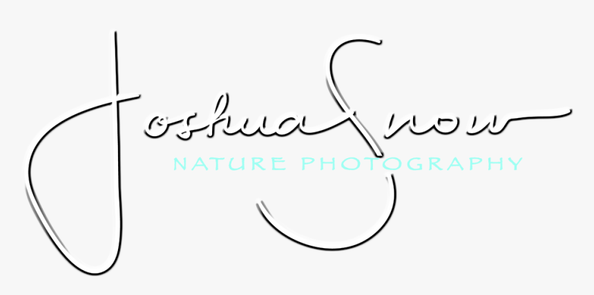 Joshua Snow Nature Photography & Workshops - Calligraphy, HD Png Download, Free Download