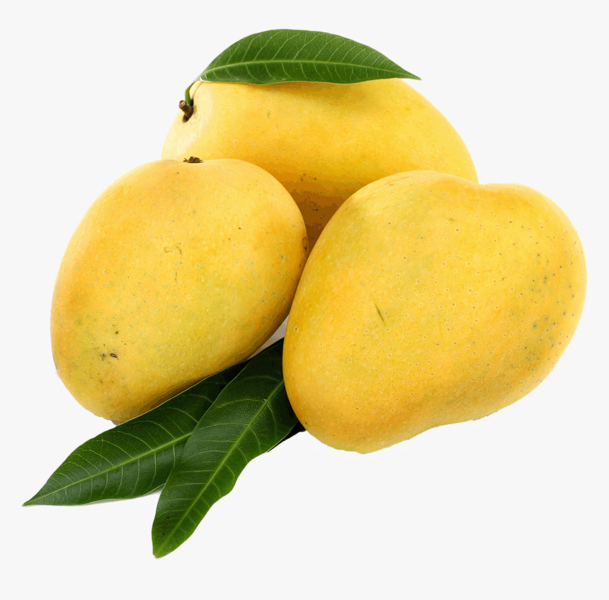 Mango Free Png - Legend Of The Mango, Transparent Png, Free Download