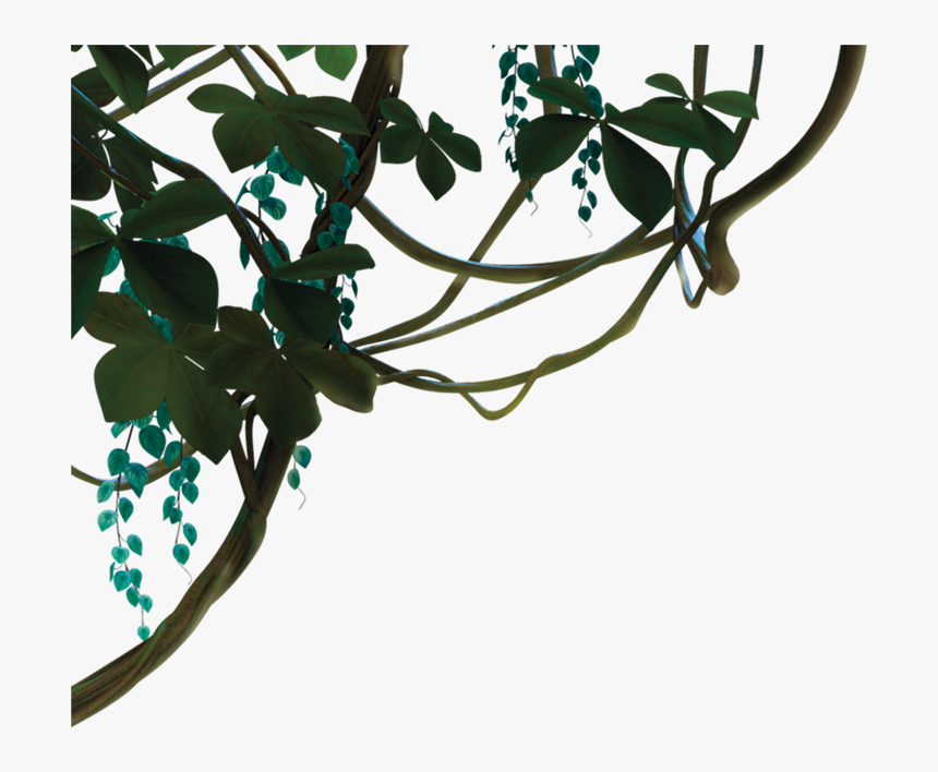 Jungle Vines Transparent Background, HD Png Download, Free Download