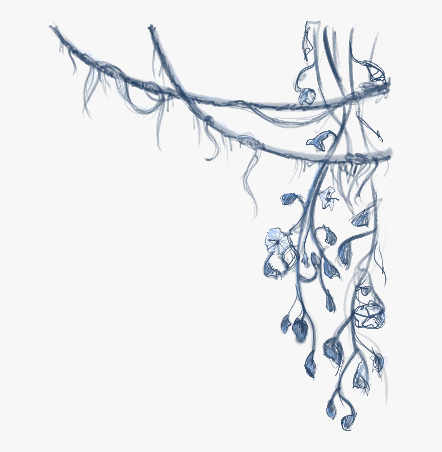 Transparent Tree Vines Png - Vines Transparent Drawing, Png Download, Free Download