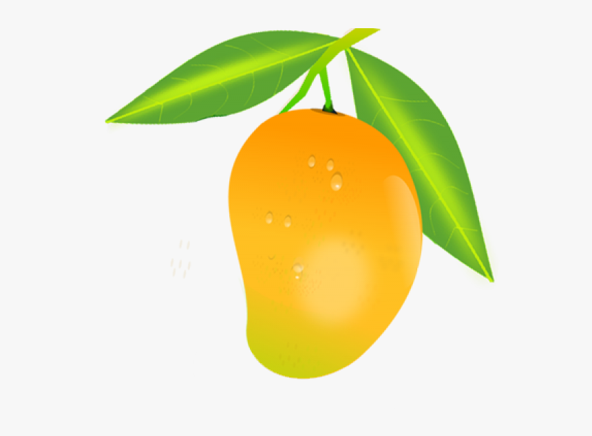 Mango Png Free Download - Mango Fruit Clipart, Transparent Png, Free Download